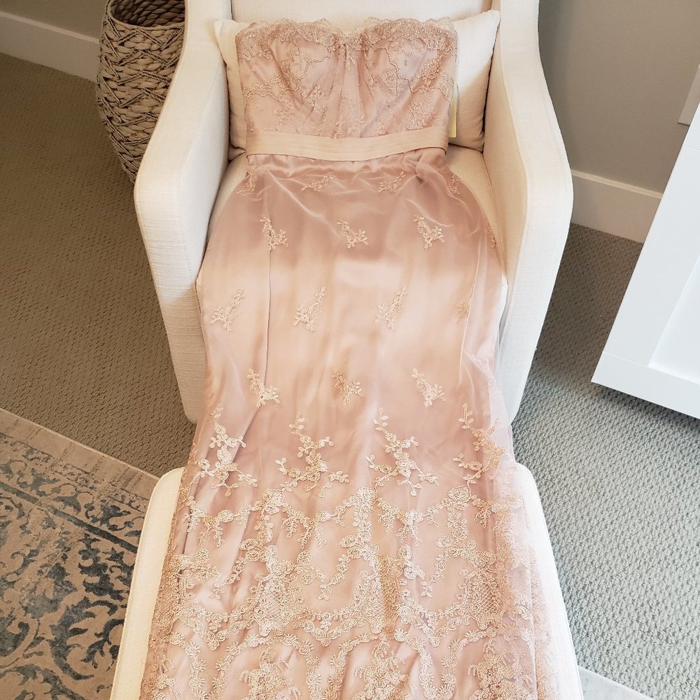 NWT Mikael Aghal Champagne formal gown dress